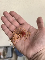 Imagen de reseña 2