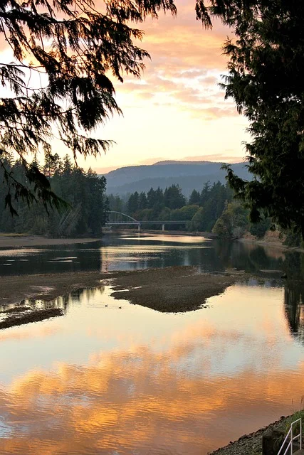 

Multifunctional Scalp Care Instrument Nanometer Spray Hair Therapy Machines Head Skin Care Device Nano Sprayer for Hair Salon