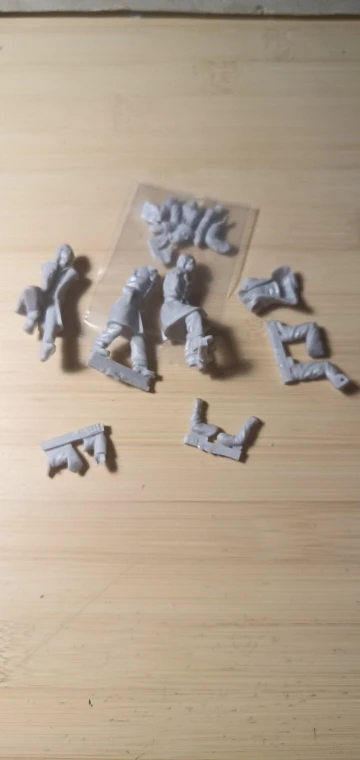 Buyer photo of this resin kit