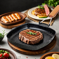 Nonstick Grill Pan for Steak, Versatile Frying Pan with Woodle Handle,Foldable Handle Square Grill Pan for Indoor& Outdoor Grill