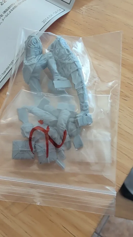 Buyer photo of this resin kit