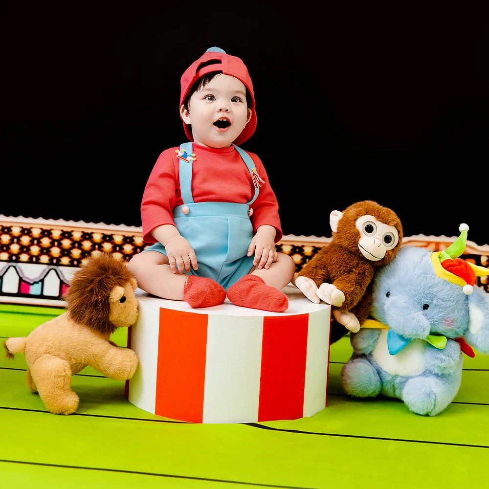 Professional Photography Props baby photo costume Circus Theme Plush Animal Dolls for 1 Year Old Baby Growth Memory shoot Props