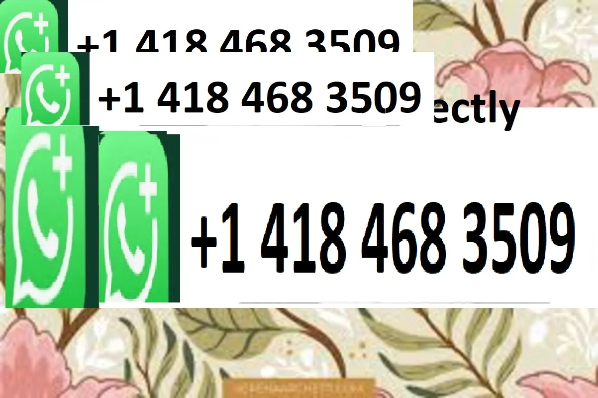 Free Shipping Bitma…