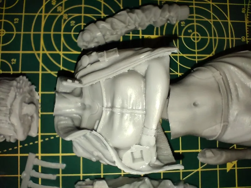 Buyer photo of this resin kit