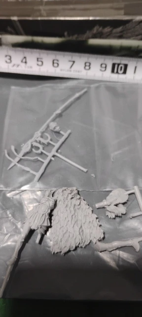 Buyer photo of this resin kit