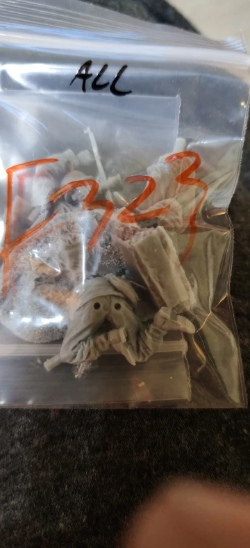 Buyer photo of this resin kit