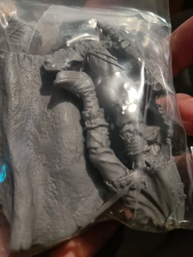 Buyer photo of this resin kit