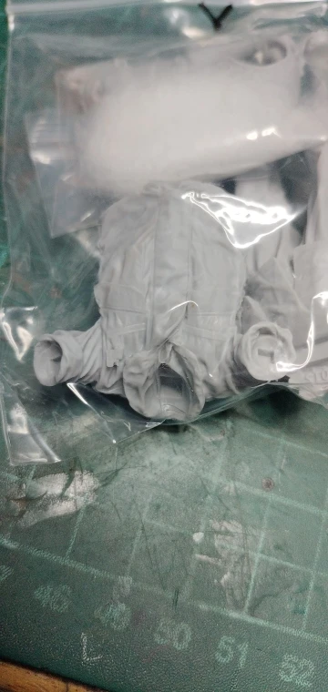 Buyer photo of this resin kit