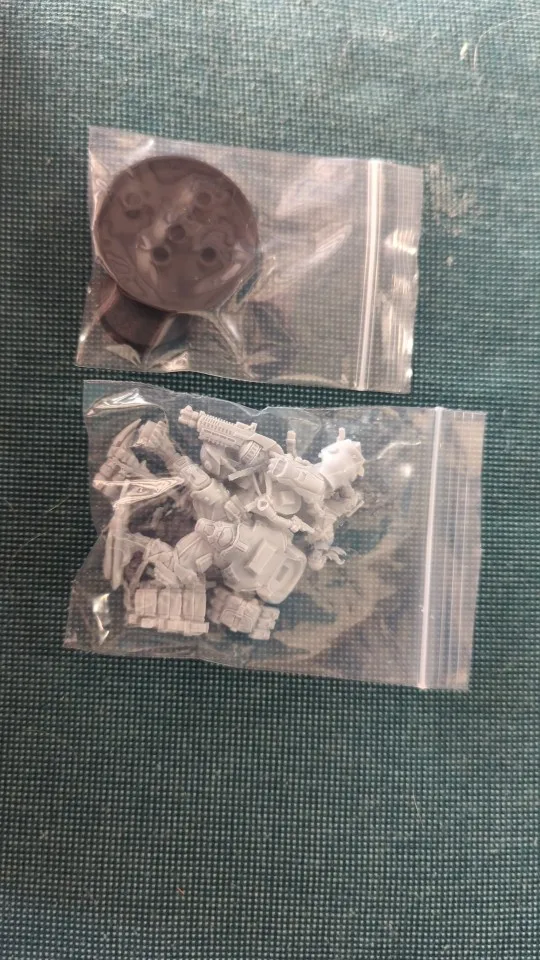 Buyer photo of this resin kit