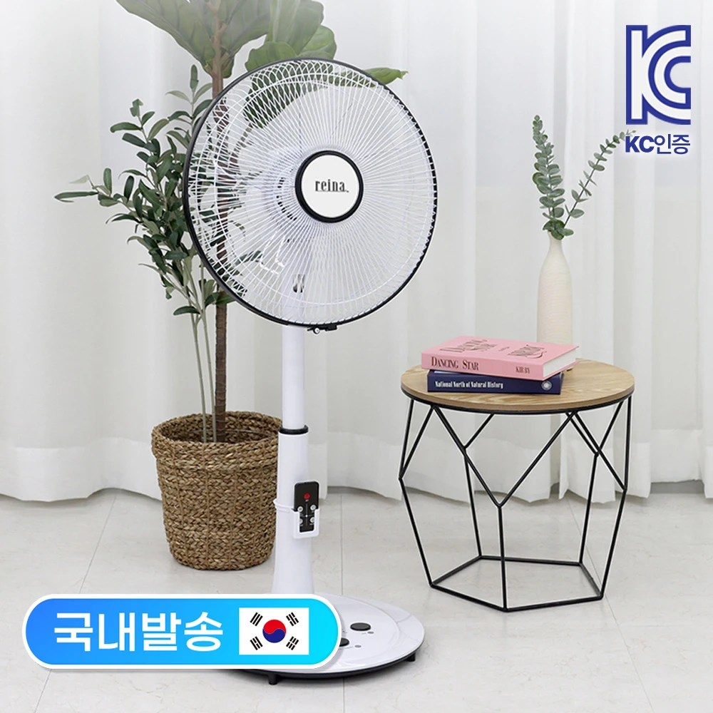 Reina electric fan 14PTR remote control stand foot touch