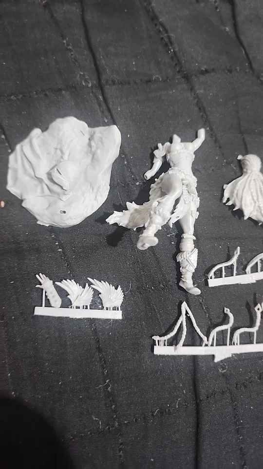 Buyer photo of this resin kit