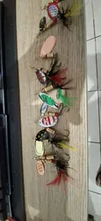 Imagen de reseña 2