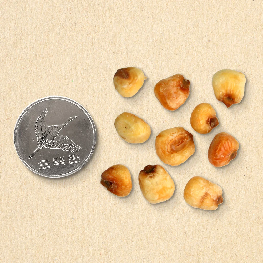 짭짤한인생 짭짤고소한 옥수수 과자 옥두렁 300g / 옥수수 튀김 밭두렁 논두렁 과자 캠핑 아이들 간식♣