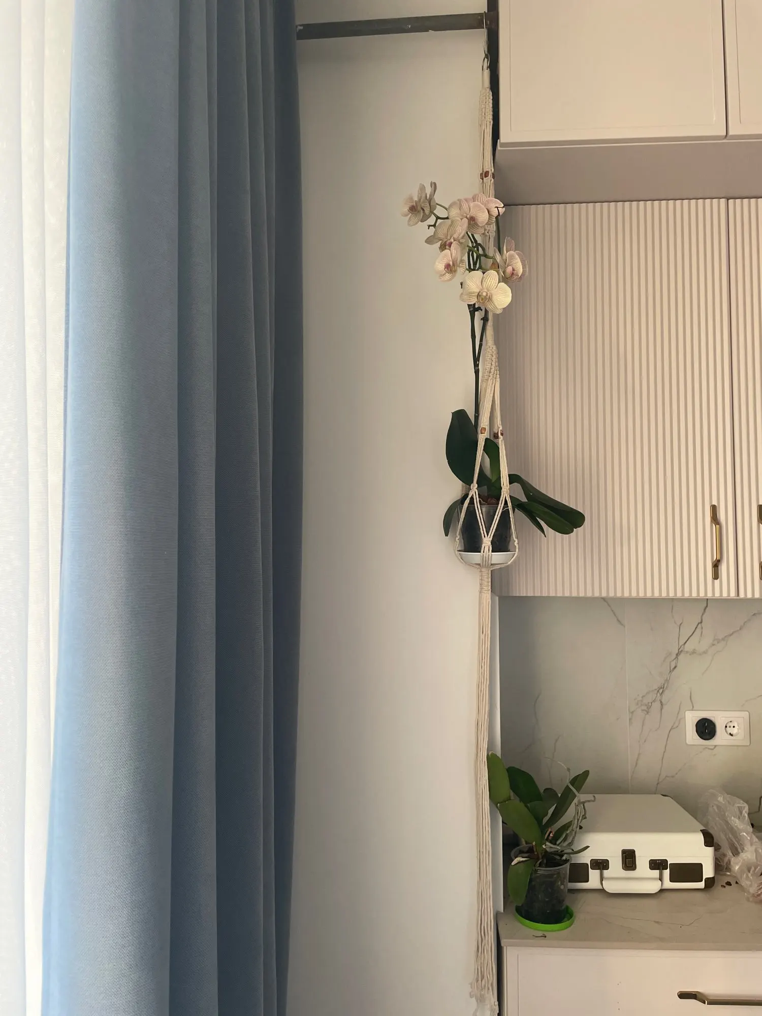 Handmade Macrame Plant Hanging Basket Garden Pots Holder Balcony Macrame Wall Hanging Decoration Knotted Lifting Rope Home Decor photo review