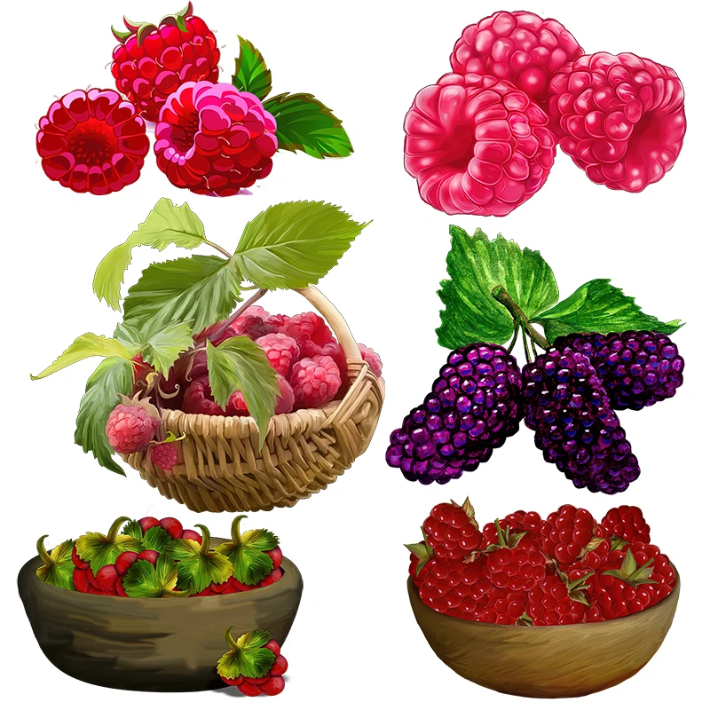 Three Ratels CO22 Cute raspberry cartoon fruit sticker kitchen refrigerator decoration decal