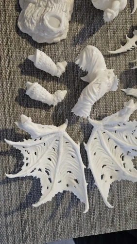 Buyer photo of this resin kit