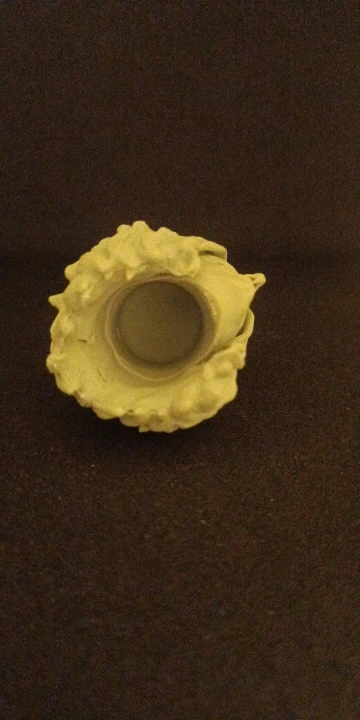 Buyer photo of this resin kit