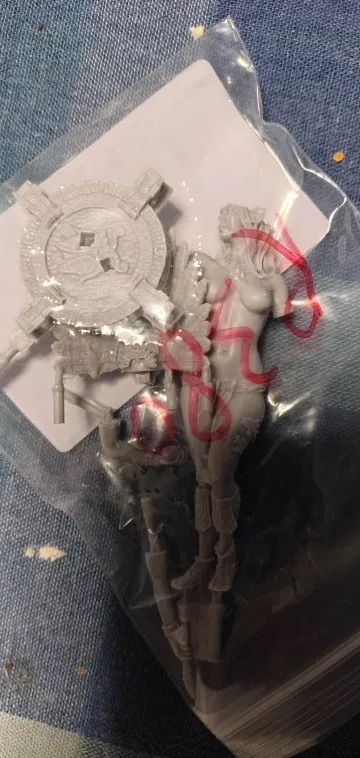 Buyer photo of this resin kit