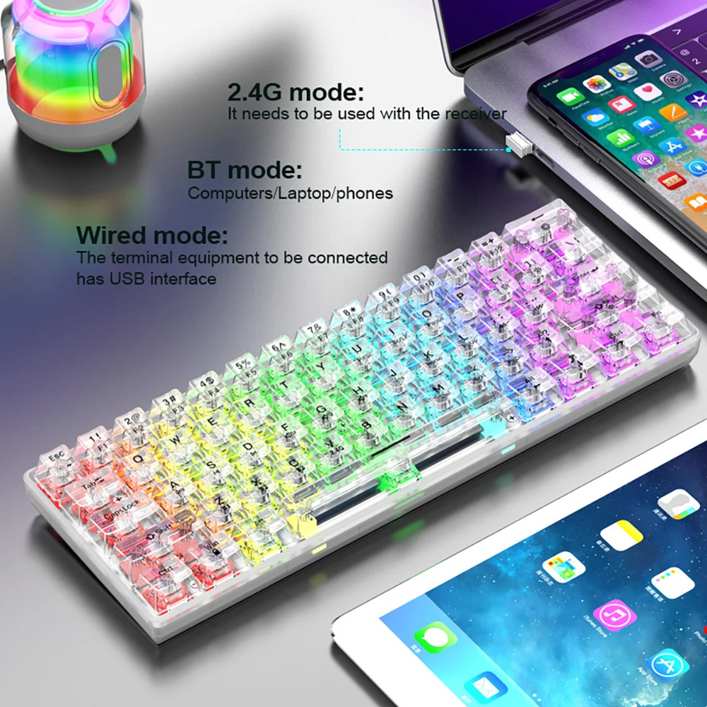 Transparent Mechanical Keyboard with RGB Backlit 61/82/87/98 Keys White HOT Swappable Mechancial Switch Wired Keyboard for Gamer