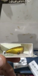 Imagen de reseña 4