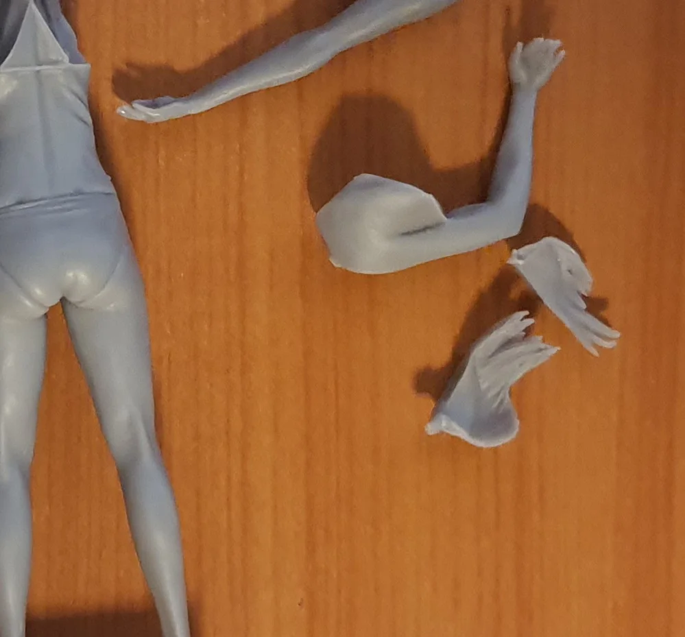 Buyer photo of this resin kit