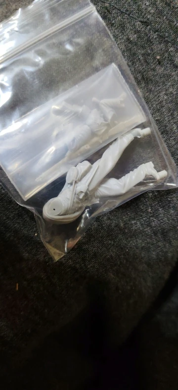 Buyer photo of this resin kit