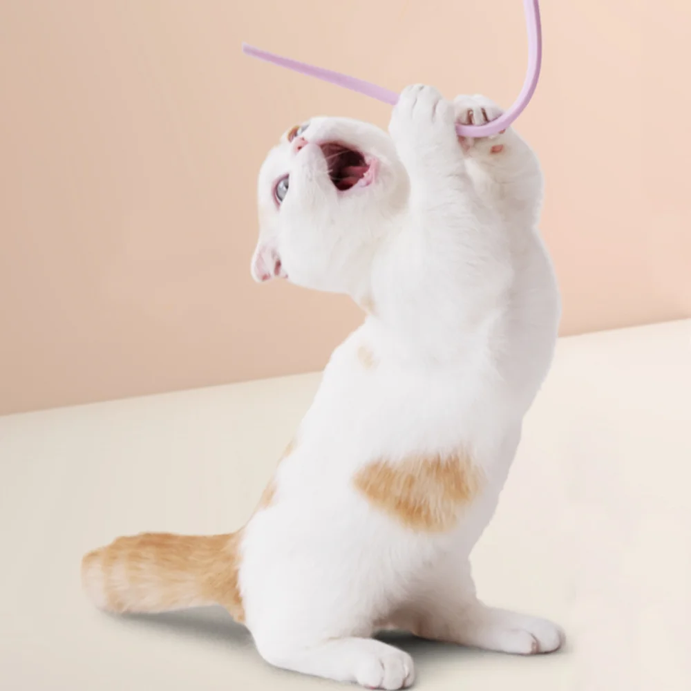 OkheeDokhee Catch the Tail cat silicone toy