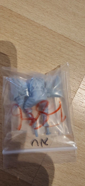 Buyer photo of this resin kit