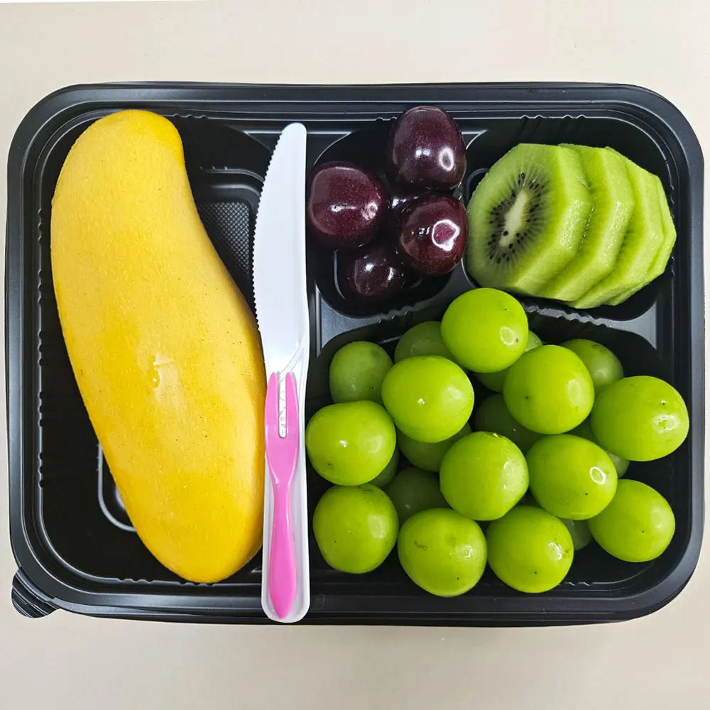 인기 조각 과일 도시락 모음 이온수세척 당일생산 신선배송