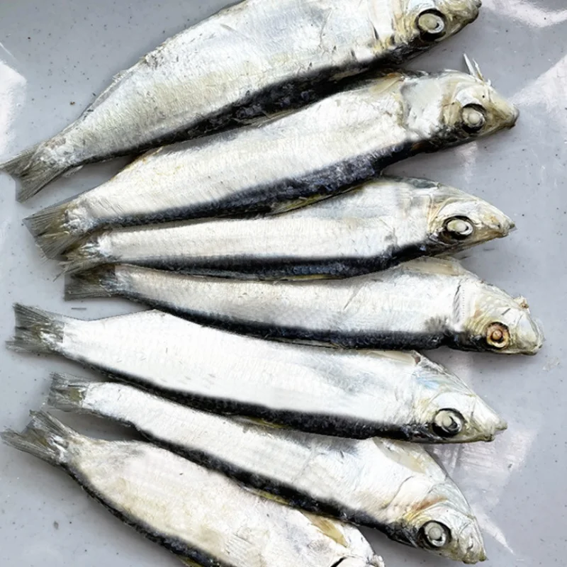 맛집 육수의 비밀! 최상품 AAA급 고급 디포리 밴댕이 (9cm ~ 11cm사이즈) 1.5kg