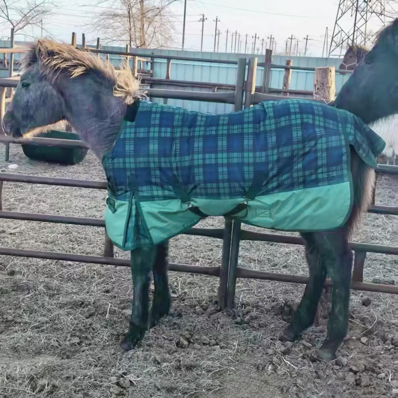 Winter Horse Blanket Easy to Install Breathable Waterproof Warm 1680D Oxford Cloth Horse Sheet Turnout Blanket Belly Wrap