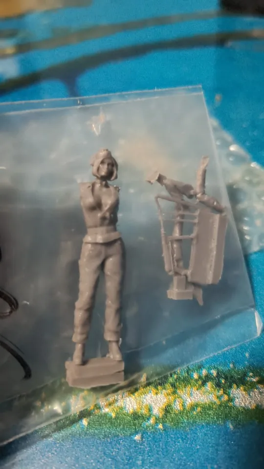 Buyer photo of this resin kit