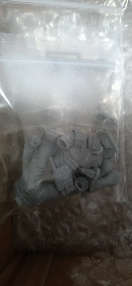 Buyer photo of this resin kit