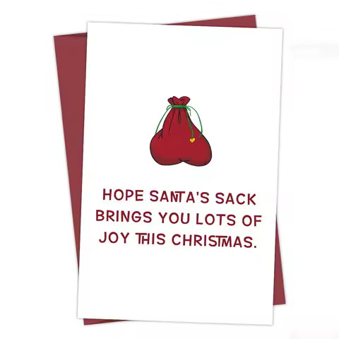 1pc Funny Rude Christmas Card for Him/Her,Hope Santa's Sack Brings You Lots Of Joy,Funny Christmas Greeting Card with Envelope