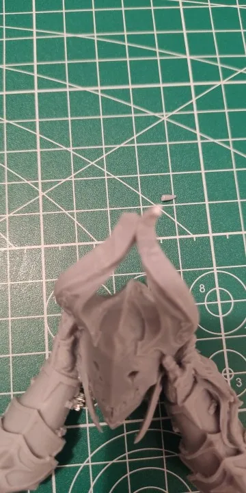 Buyer photo of this resin kit