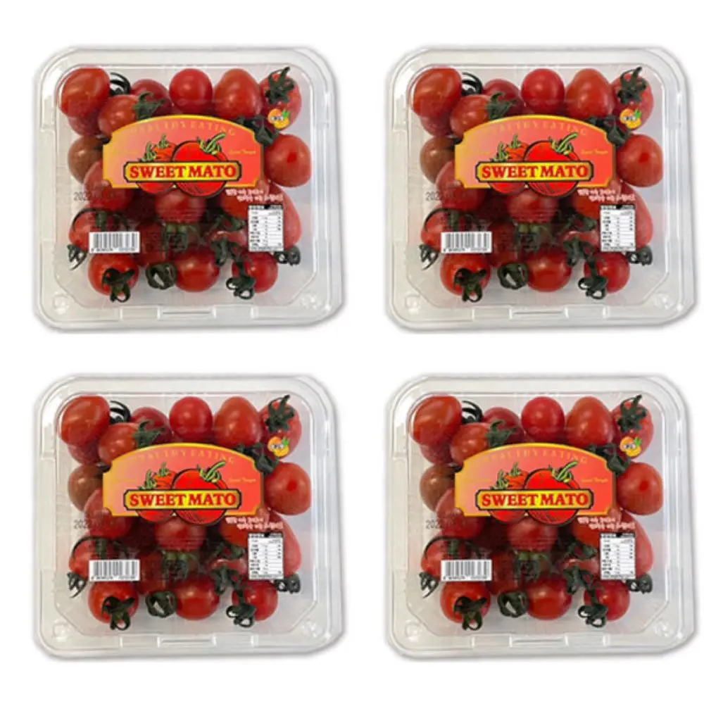 Stevia jujube Red Sweet Tomato 500g 4Pack