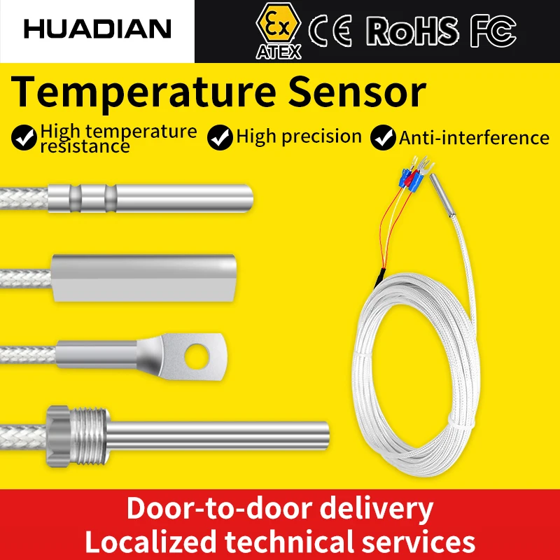 0–5m Waterproof Lead-Wire PT100 Temperature Sensor with Stainless Steel Probe