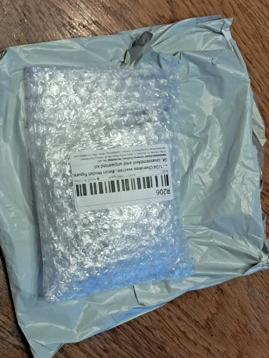 Buyer photo of this resin kit