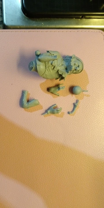 Buyer photo of this resin kit