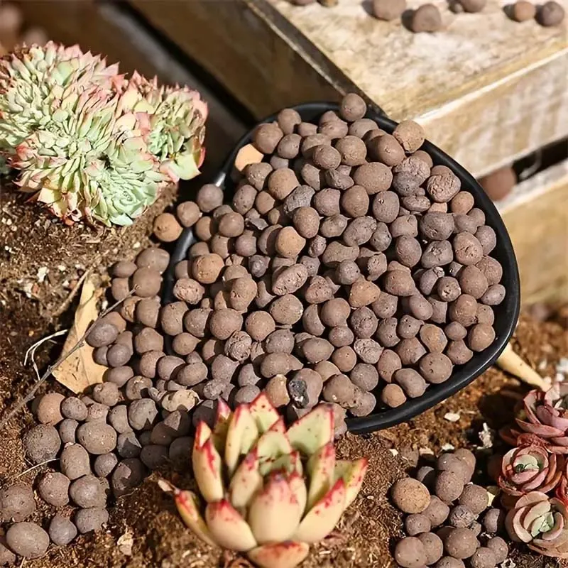Soil Ceramsite Clay Stone Natural Rock Decorative Rocks for Planters Succulent Stones Cactus Indoor Plants Pebbles Small