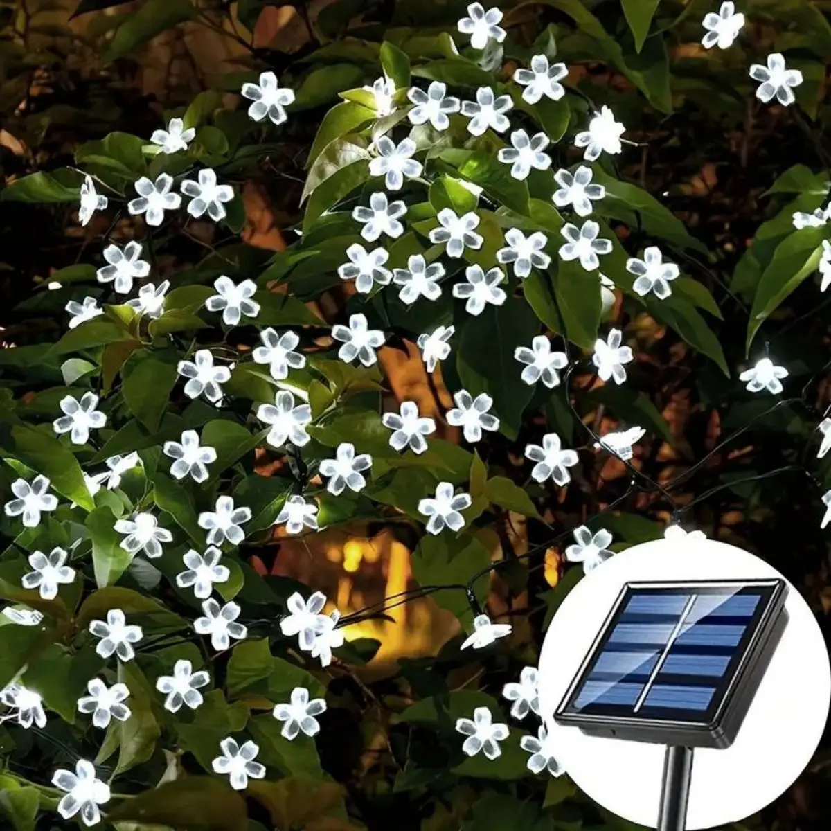 Solar powered household light LED cherry blossom light string, 8 modes of decorative lights, cold white light, button control