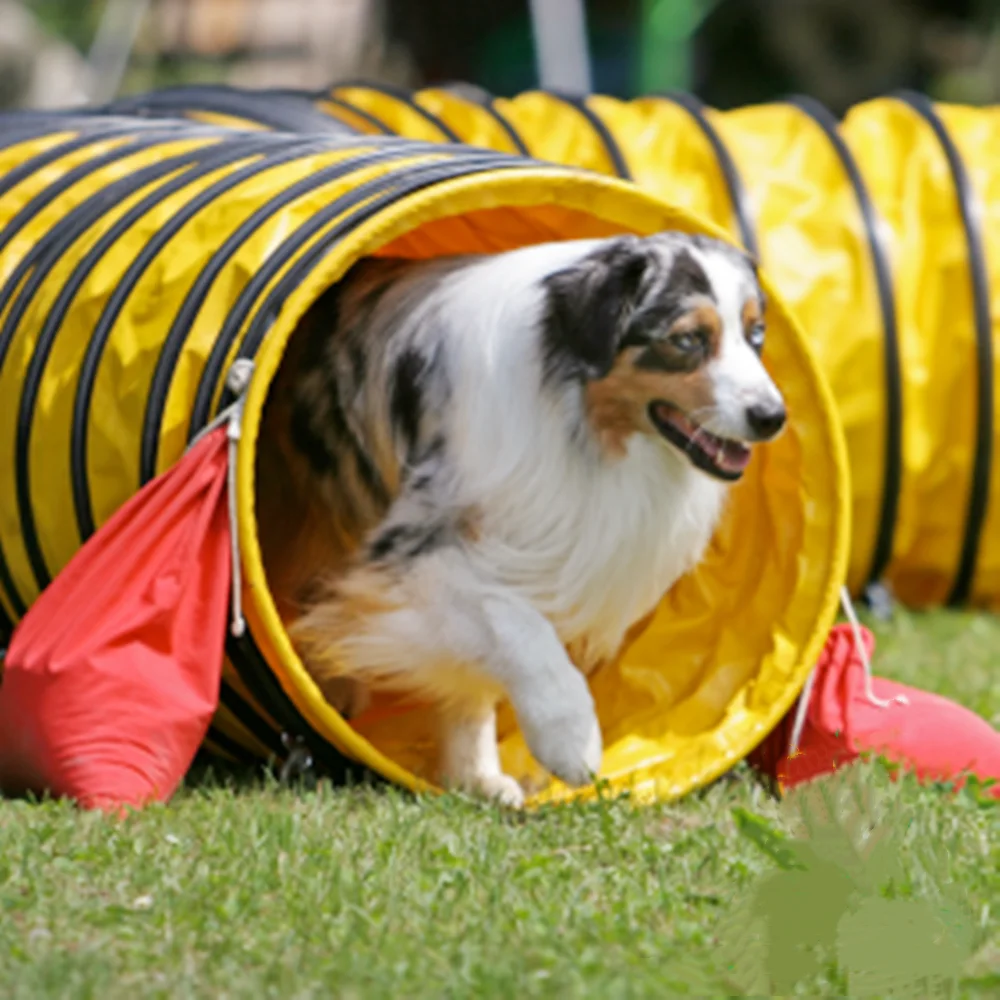 FCI-túnel de lanzadera súper grueso para mascotas, protector solar a prueba de humedad, agilidad, juego de competición, nivel de competencia internacional