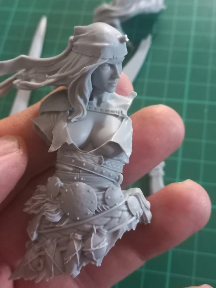 Buyer photo of this resin kit