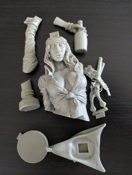 Buyer photo of this resin kit