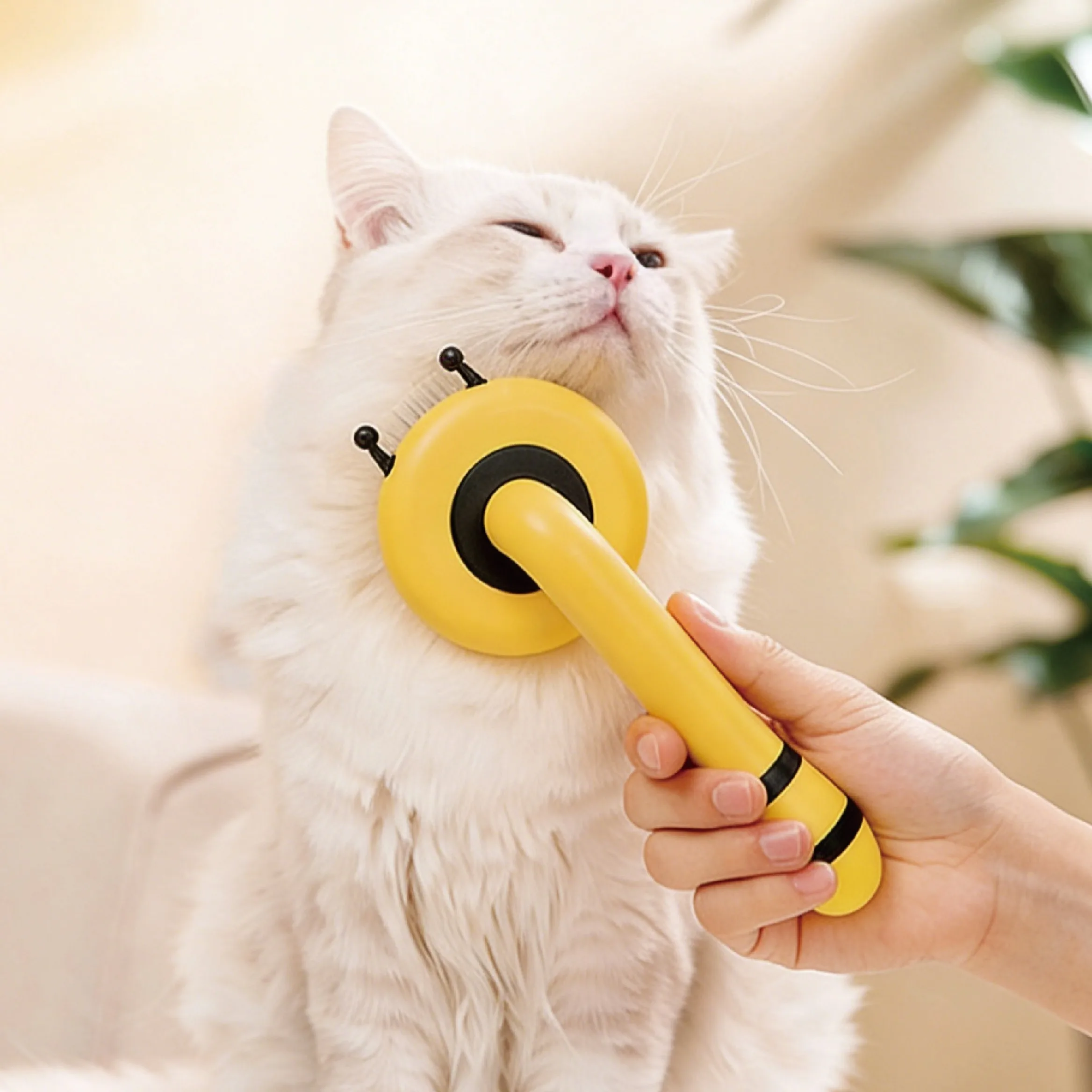 

Dog Hair Remover Brush Long Hair Grooming Comb Pet Removes Hairs Cleaning Bath Brush Dog Pet Supplies Accessories