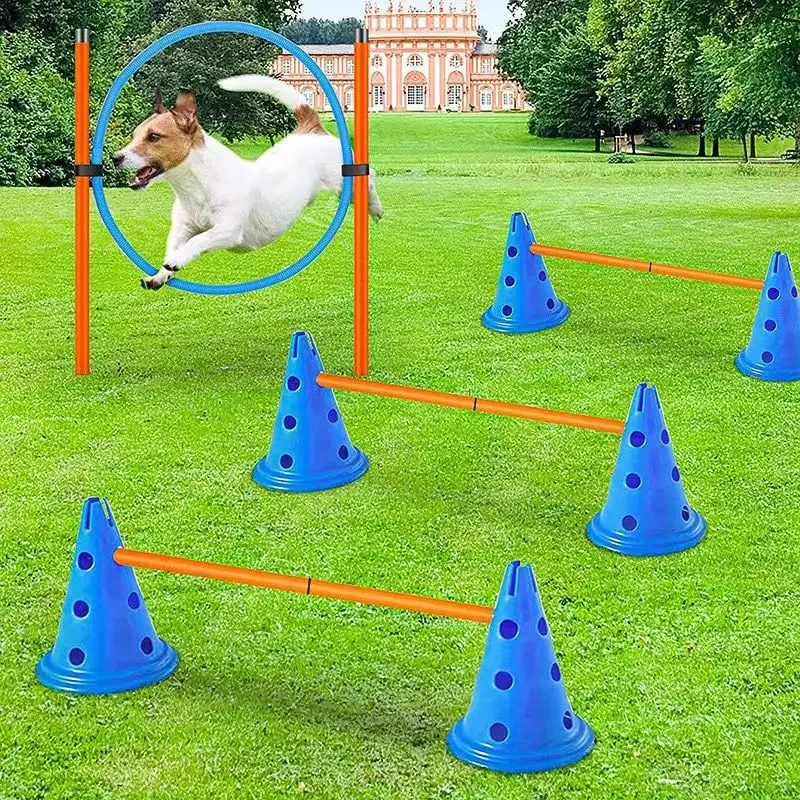 Ensemble d'entraînement d'agilité pour animaux de compagnie, barre de saut, équipement d'entraînement d'obstacles pour chiens, dispositif d'entraînement pour chiens, fournitures pour animaux de