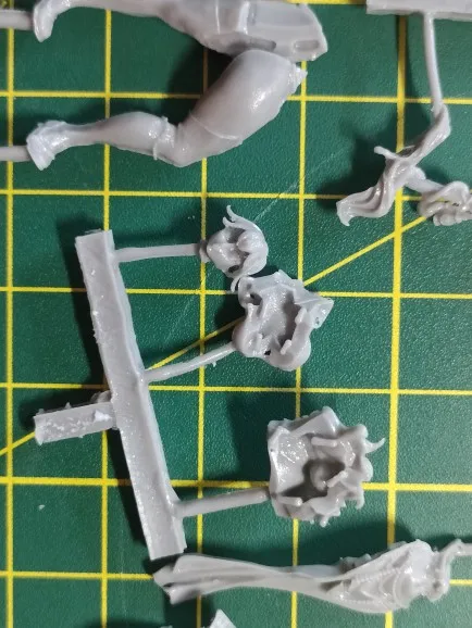 Buyer photo of this resin kit