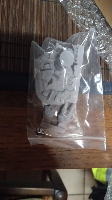 Buyer photo of this resin kit
