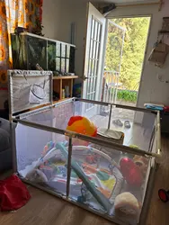Imagen de reseña 1