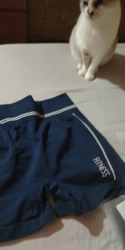 실물 포토 리뷰